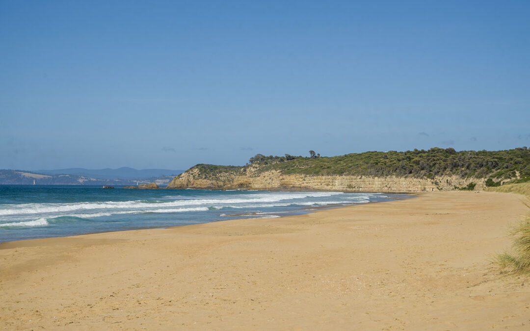 Goat (Calverts) Beach