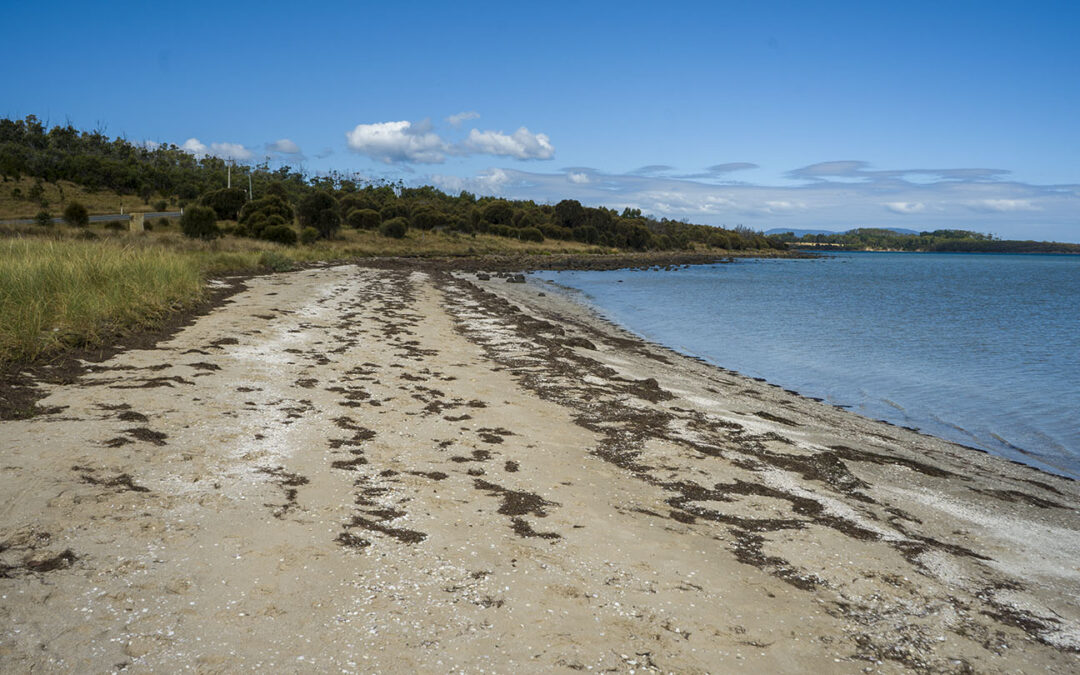 Marion Beach