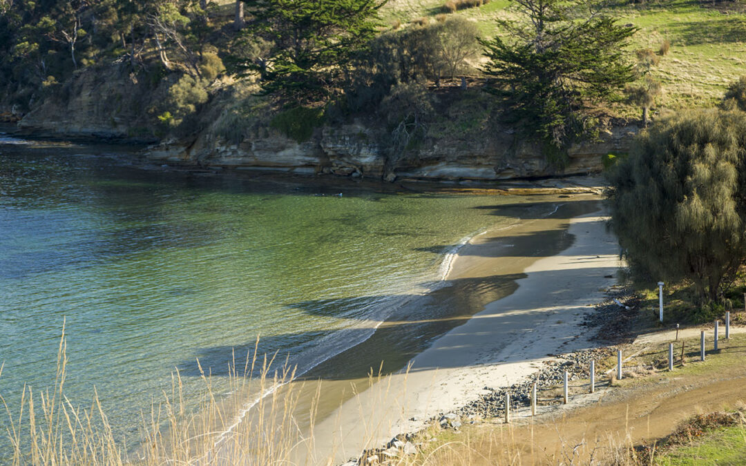 Tinderbox Beach