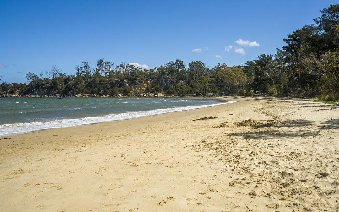 Randalls Bay Beach