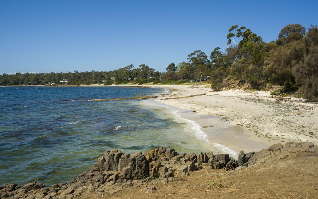 Shelley Beach Orford