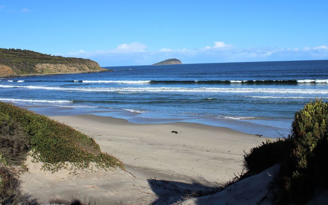 Roaring Beach