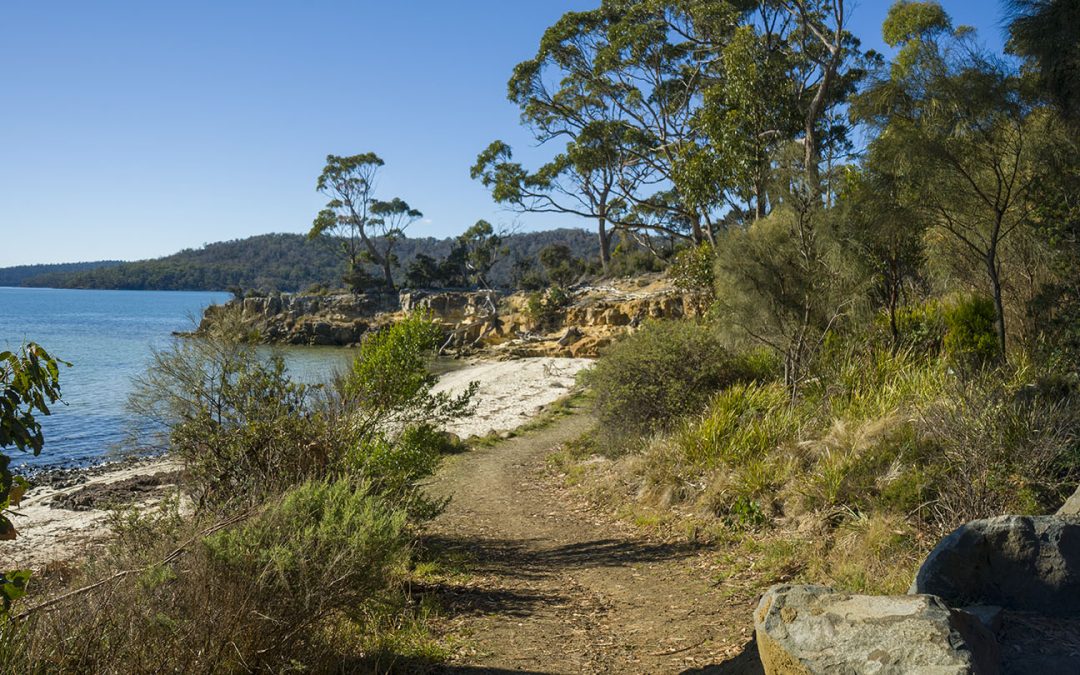 Shelly Beach Koonya