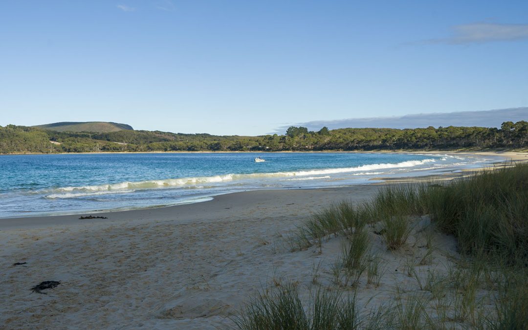 Safety Cove Beach