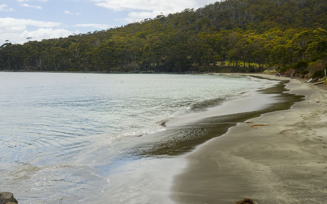 East Cove Bruny