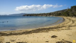 Cemetary Beach Bruny