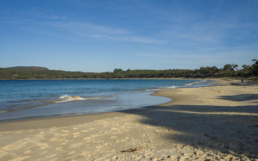 Safety Cove Beach