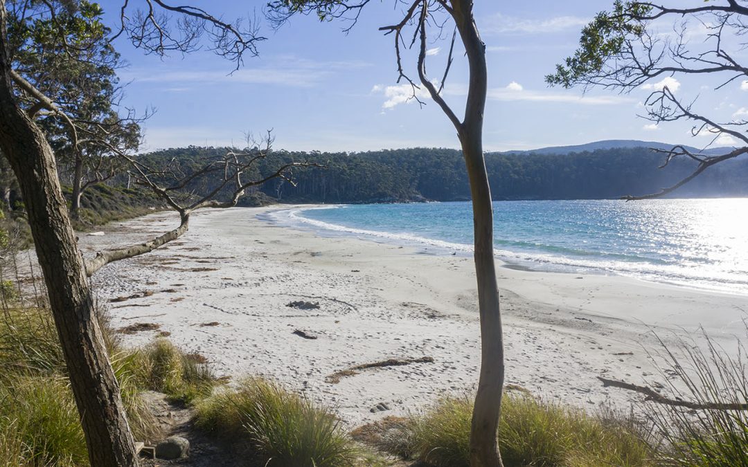 Fortescue Bay