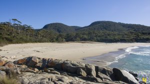 Little Beach